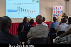 TRANSFERENCIA-DE-ACOES-DA-SPACETEL-MTN-PARA-A-EMPRESA-TELECEL_20241129_154209_0003