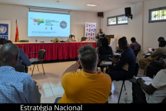 TRANSFERENCIA-DE-ACOES-DA-SPACETEL-MTN-PARA-A-EMPRESA-TELECEL_20241129_154209_0007