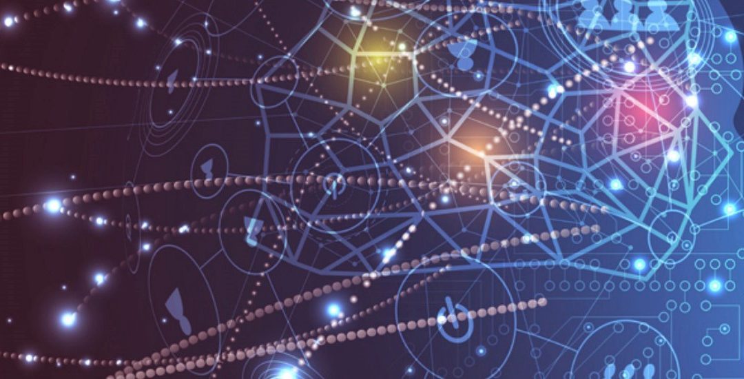 Observatório de Mercado do 2º Trimestre do Ano 2024